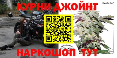 стаф Коммунар