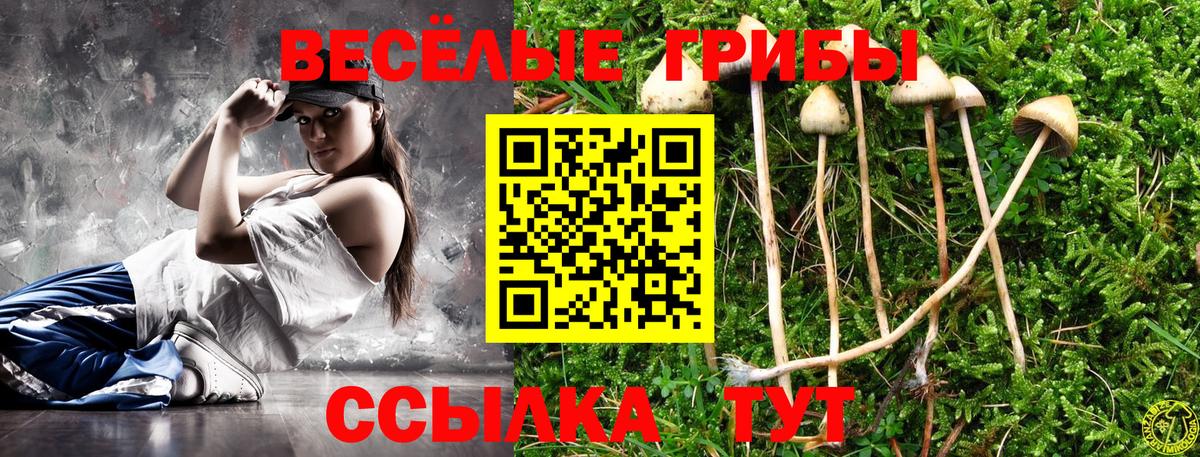 Галлюциногенные грибы Psilocybine cubensis  Галлюциногенные грибы GOLDEN TEACHER  Вход с VPN  Котовск 